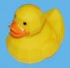 rubberduck's picture